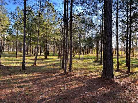 County Road 950 lot: 4, Calhoun, TN 37309