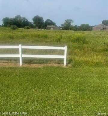 Parcel 2 Deerfield Meadows, Almont, MI 48003