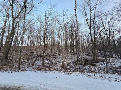 Lot25blk1 Westward Ho, Garrison, MN 56450