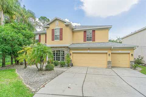 Colchester Palms, TAMPA, FL 33647