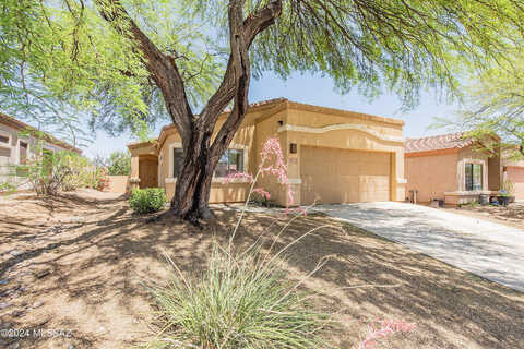 Placita Nubes De Agua, SAHUARITA, AZ 85629