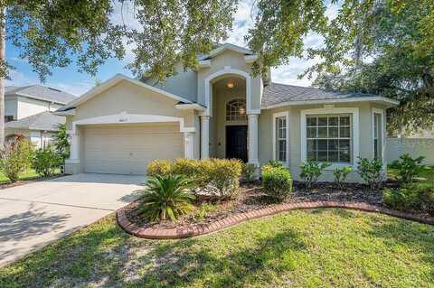 Lucaya, TAMPA, FL 33647