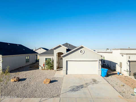 Texas Madrone, EL PASO, TX 79927