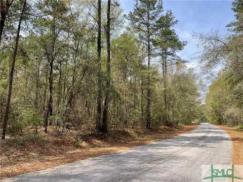 0 Pleasant Acres Road, Springfield, GA 31329