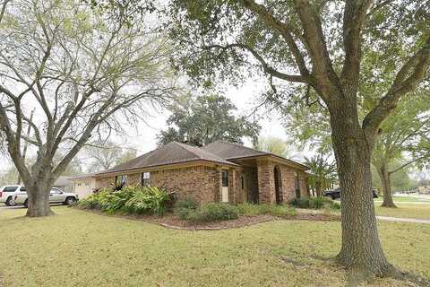Daffodil, LAKE JACKSON, TX 77566