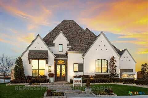 502 Irvine Circle, Liberty Hill, TX 78642