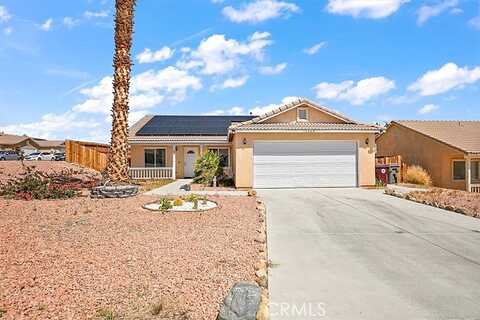 Sunflower, TWENTYNINE PALMS, CA 92277