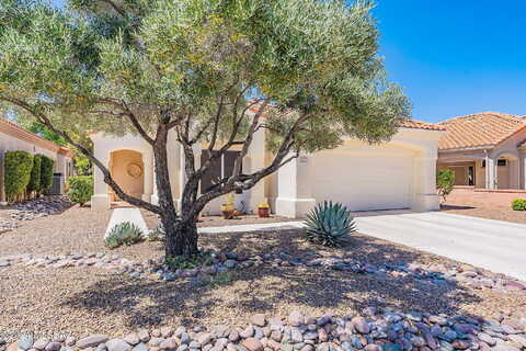 Jonquil, ORO VALLEY, AZ 85755