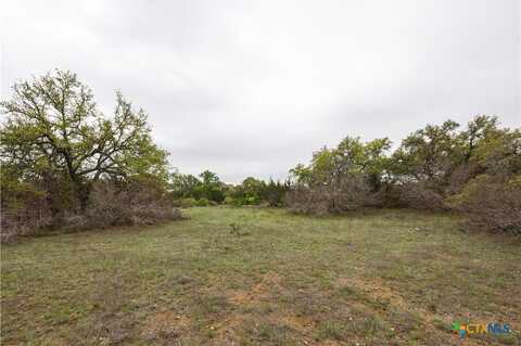 Tbd Logan's Way, Blanco, TX 78606