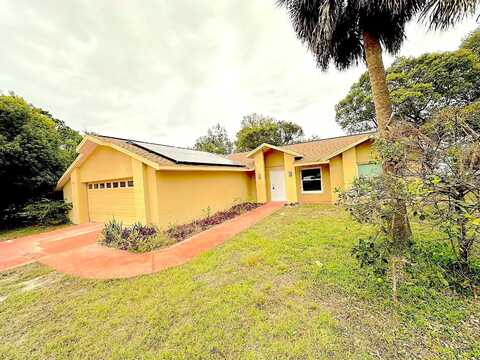 Adler, SPRING HILL, FL 34608