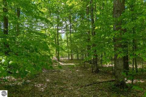 LOT 9 Fleetwood Court, Empire, MI 49630
