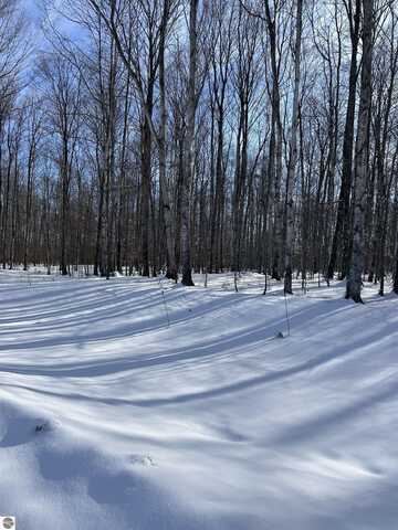 LOT 9 Fleetwood Court, Empire, MI 49630