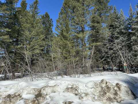 1079 VISTA WEST Drive, Star Valley Ranch, WY 83127