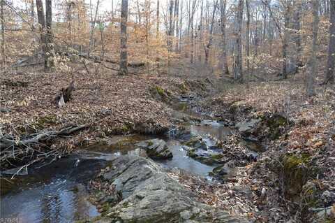 Off Of NC Highway 700, Pelham, NC 27311
