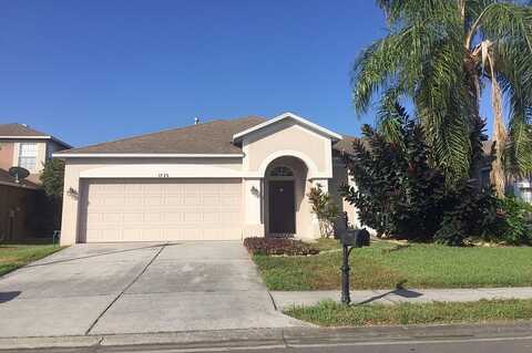 Lady Palm, TRINITY, FL 34655