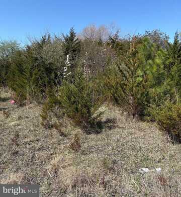 366 BAY, MILFORD, DE 19963
