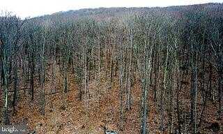 BEAR RUN, OAKLAND, MD 21550