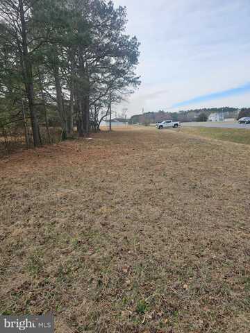 US RT 50, MARDELA SPRINGS, MD 21837