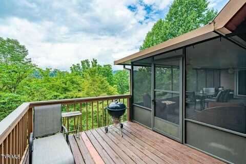125 Watauga Overlook Drive, Butler, TN 37640