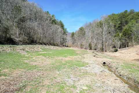 35 Ac Payne Hollow Rd, Greeneville, TN 37743