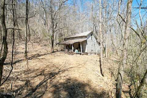 35 Ac Payne Hollow Rd, Greeneville, TN 37743