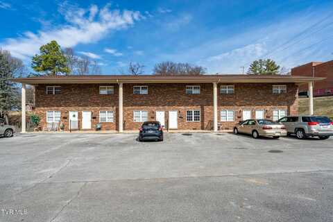 133 Walker Street, Kingsport, TN 37665
