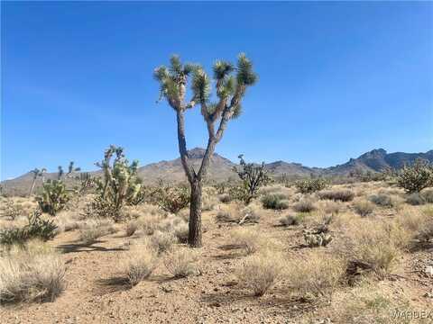 327-06-541 19th Street, Dolan Springs, AZ 86441