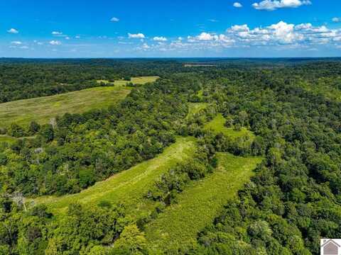 000 Travis Cemetery Road, Marion, KY 42064