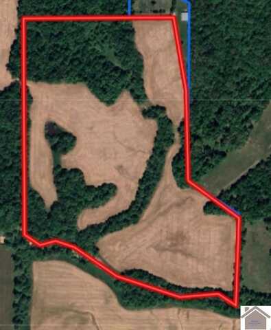 1955 Slaughter Road, Mayfield, KY 42066