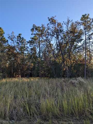 13046 BARNEVELDE ROAD, BROOKSVILLE, FL 34614