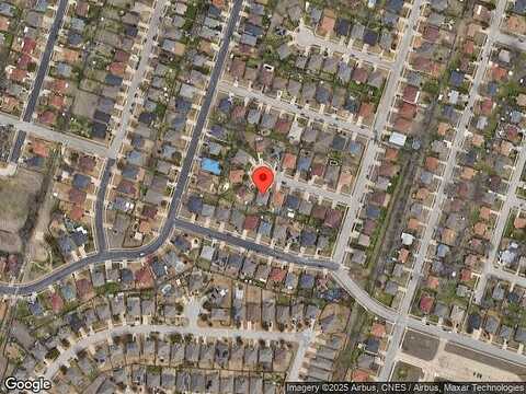 Beagle, KILLEEN, TX 76543