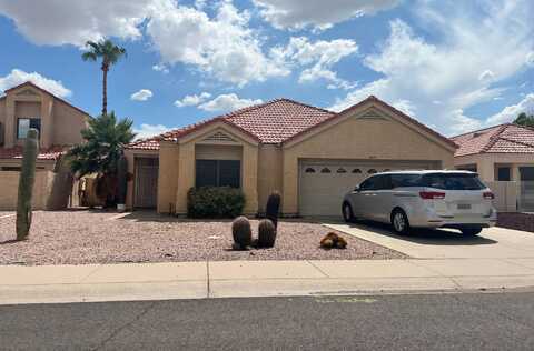White Aster, PHOENIX, AZ 85044