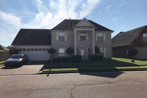 Busy, MEMPHIS, TN 38125