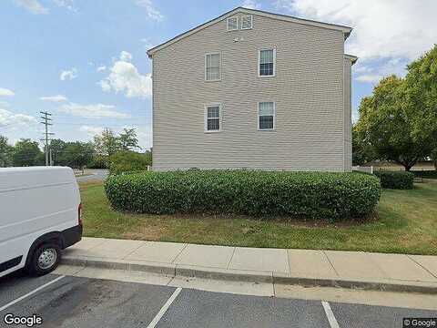 Lavender, FREDERICK, MD 21703