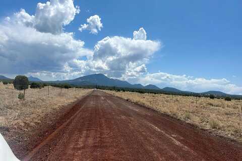 Td, WILLIAMS, AZ 86046