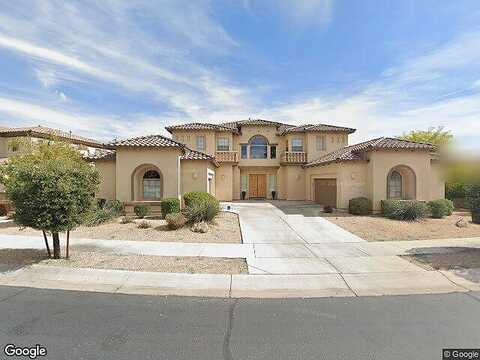 Verbena, LITCHFIELD PARK, AZ 85340