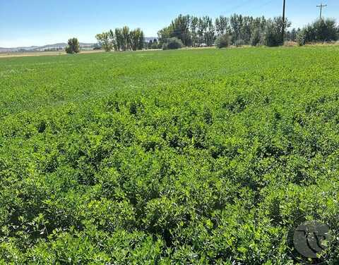 Nhn S River Road, Bridger, MT 59014