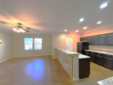 207 Capps dr, College Station, TX 77845