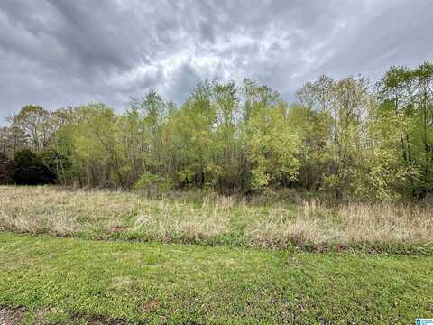 0 GOLDEN CREST DRIVE, SYLACAUGA, AL 35151