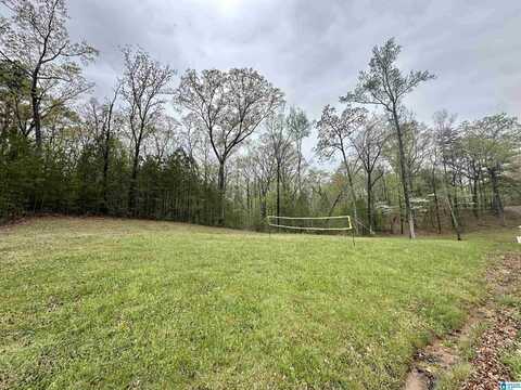 0 JONES DRIVE, SYLACAUGA, AL 35151