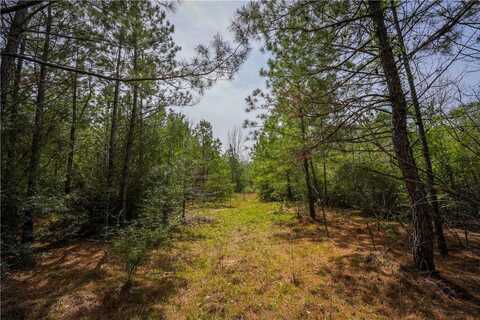 Hwy 87 N, Newton, TX 75966