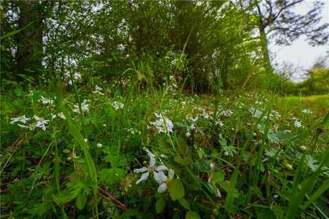 Hwy 87 N, Newton, TX 75966
