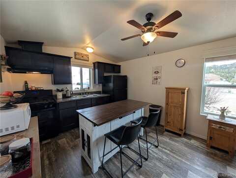 10795 County Road 197a, Nathrop, CO 81236