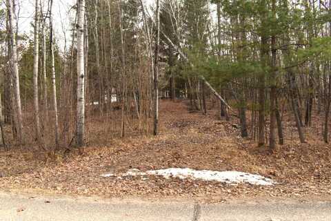 Lot 161 King Henry, Gladwin, MI 48624