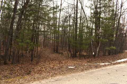 Lot 162 King Henry, Gladwin, MI 48624