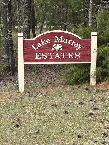 231 Tortoise Trail, Batesburg, SC 29006