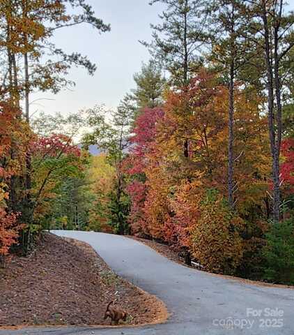 9144 Yellow Pine Road, Nebo, NC 28761