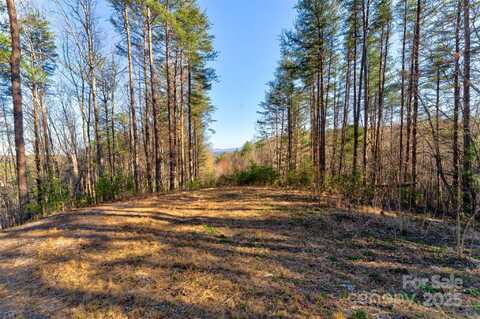 9144 Yellow Pine Road, Nebo, NC 28761