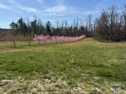 St Pauls Road, Hendersonville, NC 28792
