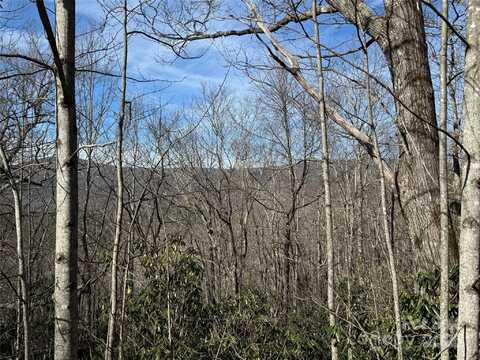 L13 Black Bear Court, Sapphire, NC 28774